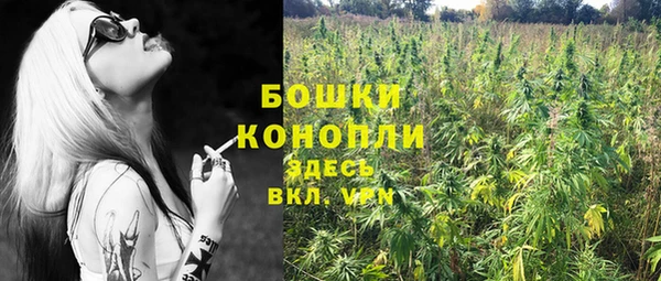 дмт Бронницы