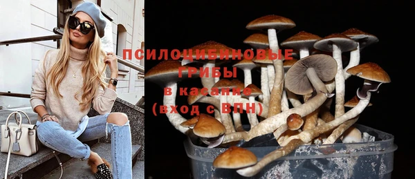 spice Чегем