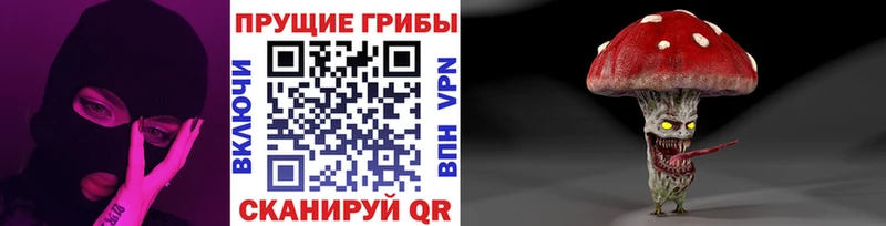 Псилоцибиновые грибы ЛСД  Жердевка 