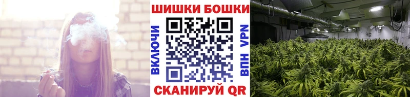 shop официальный сайт  наркошоп  Жердевка  Марихуана конопля 